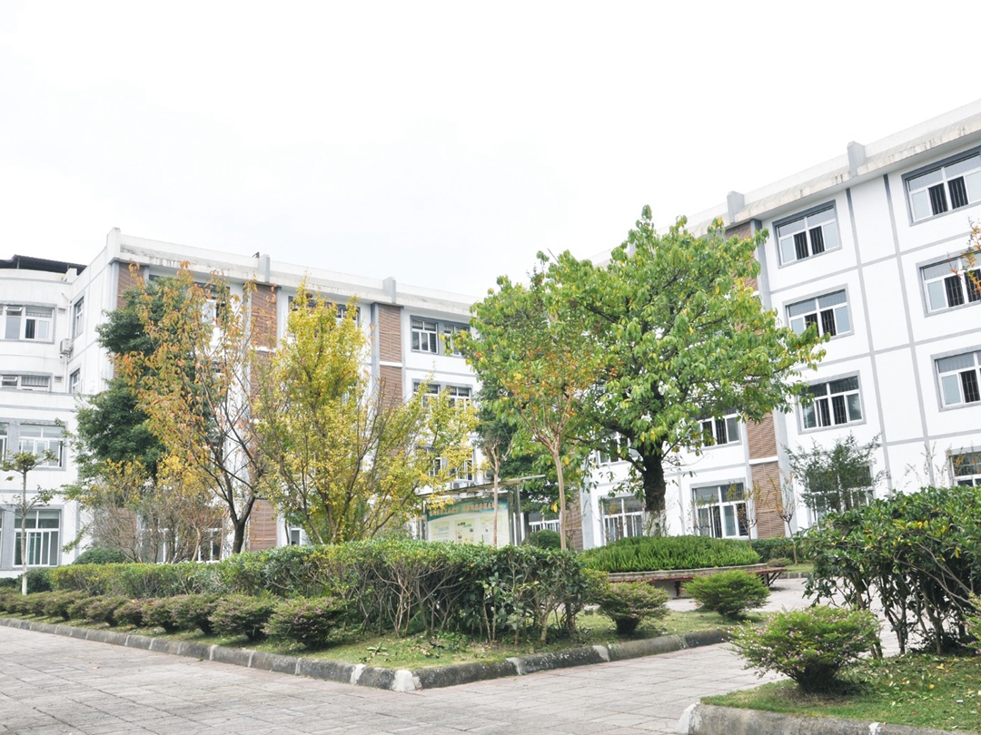 都江堰市第三人民医院环境展示